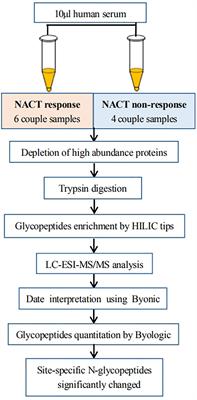 Intact glycopeptides identified by LC-MS/MS as biomarkers for response to chemotherapy of locally advanced cervical cancer